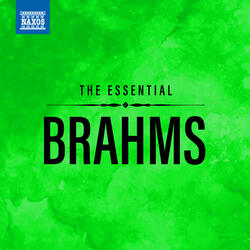 Variations on a Theme by Haydn, Op. 56a, "St. Anthony Variations": Finale. Andante