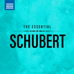 6 Moments musicaux, Op. 94, D. 780: No. 3, Allegro moderato