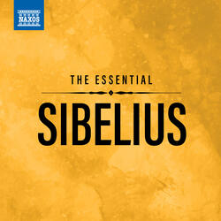 5 Songs, Op. 37: No. 4, Was It a Dream? (Arr. J. Jalas for Voice & Orchestra)