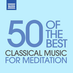 Cello Concerto in B-Flat Major, G. 482: II. Andantino grazioso (Arr. for Cello by Friedrich Grützmacher)