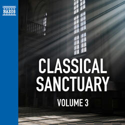 String Quartet No. 12 in B-flat Major, K. 172: Ii. Adagio