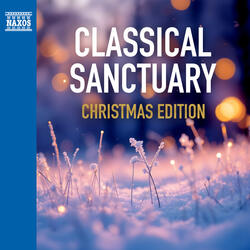 Evening of Plenty, Evening of Goodness (Arr. for Violin & Orchestra by B. Kryvopust)