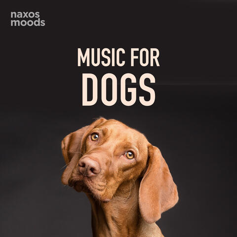 Music for Dogs