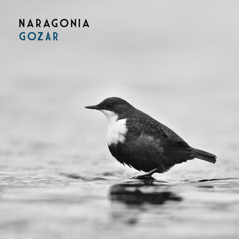 Gozar