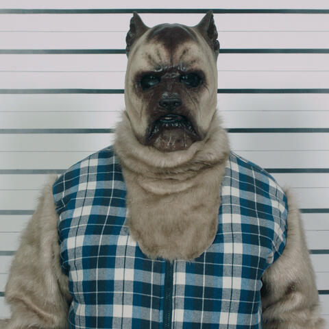 Kom Je Ontvoeren Vannacht