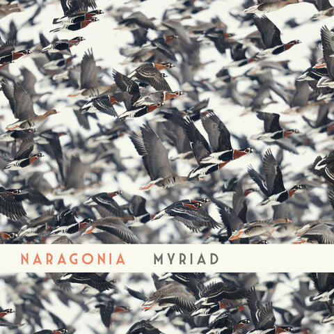Myriad