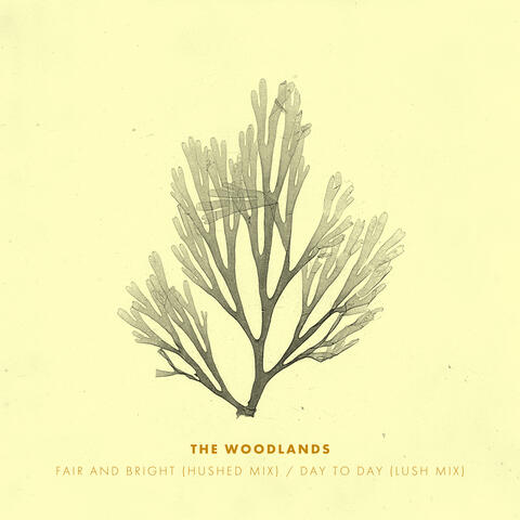 Fair and Bright (Hushed Mix) / Day to Day (Lush Mix)