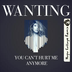 You Can't Hurt Me Anymore
