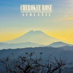 Cherokee Rose