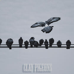 Clay Pigeons