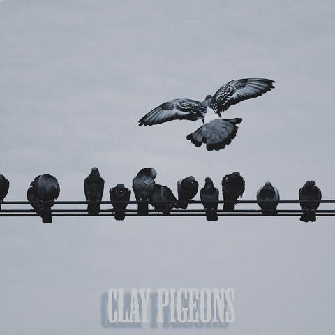 Clay Pigeons