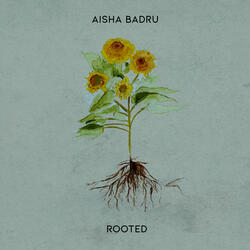 Rooted