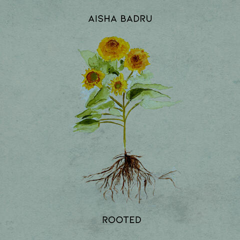 Rooted