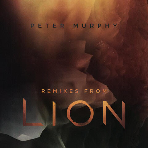 Remixes from Lion