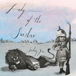 Lady Of The Sunshine