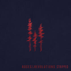 The Pines