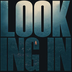 Looking In