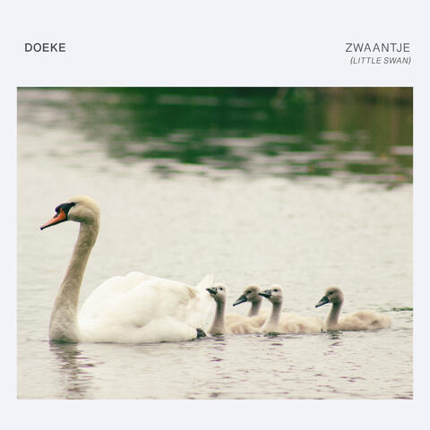 Zwaantje (Little Swan)