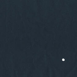 The Earth is a Very Small Dot
