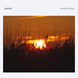 Zwaantje (Little Swan)