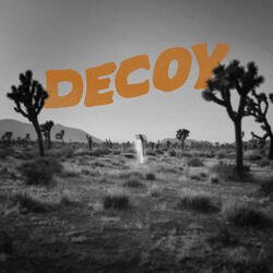 Decoy