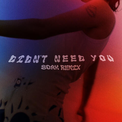 Didn't Need You