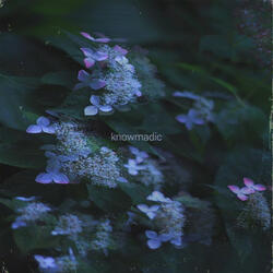 Hollow