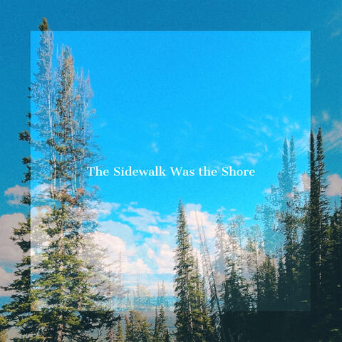 The Sidewalk Was the Shore