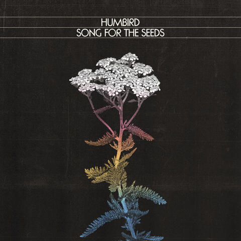 Song for the Seeds