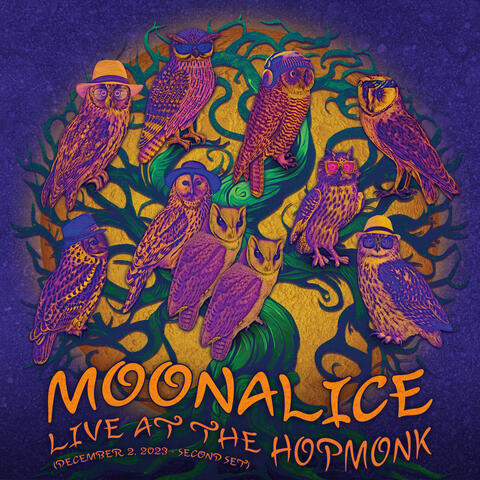 Live at The Hopmonk (December 2, 2023)