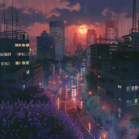 lavender