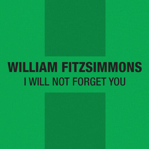I Will Not Forget You