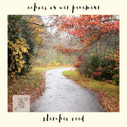 Echoes on Wet Pavement