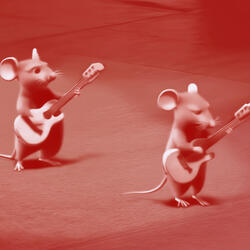 mice band