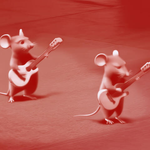 mice band