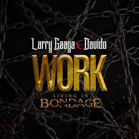 Larry Gaaga and Davido