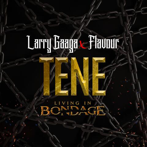 Larry Gaaga & Flavour