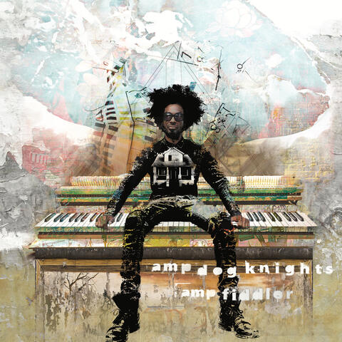 Amp Dog Knights