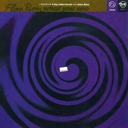 What You See (Ghost Of Flora's Dream) [Remixed by A Guy Called Gerald]