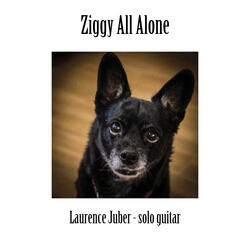 Ziggy All Alone