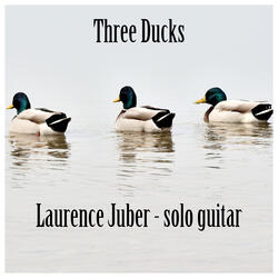 Three Ducks