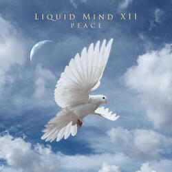 Spirit of Peace Radio Edit