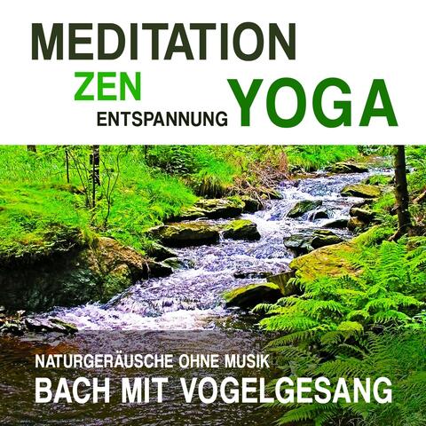 Meditation, Zen, Yoga und Entspannung mit Naturgeräuschen ohne Musik: Bach mit Vogelgesang