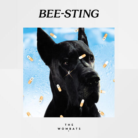 Bee-Sting