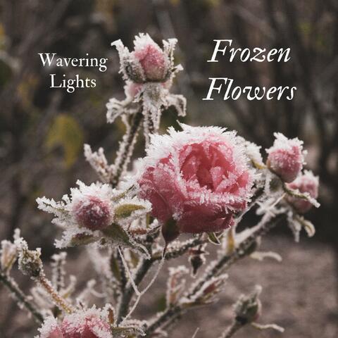 Frozen Flowers
