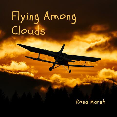 Flying Among Clouds