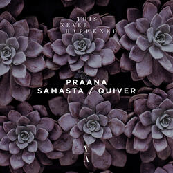 Samasta