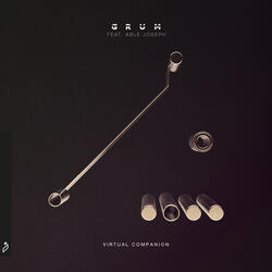 Virtual Companion