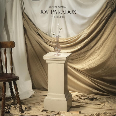 Joy Paradox (The Remixes)