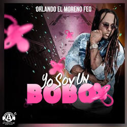 Yo soy un Bobo